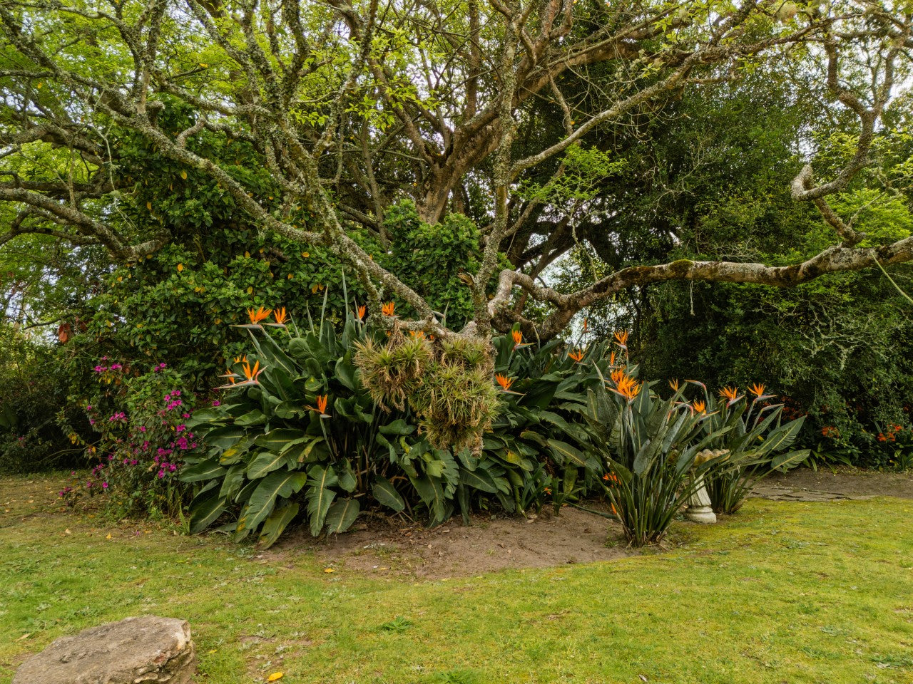 Property 2900021 - Image 59