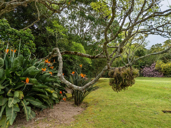 Property 2900021 - Image 63