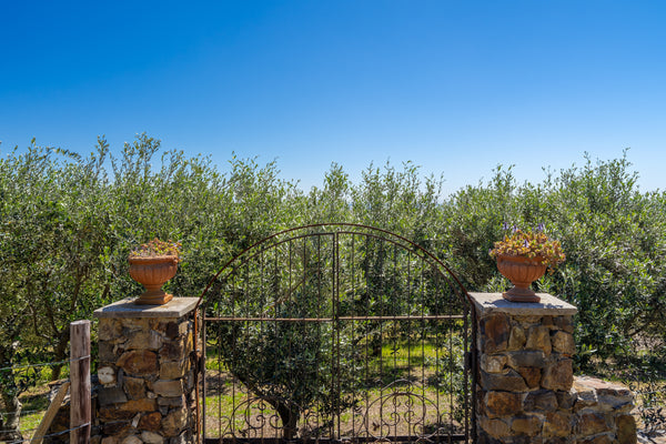 Property 2921405 - Image 70