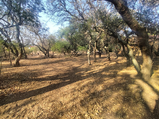 Property 2922963 - Image 1