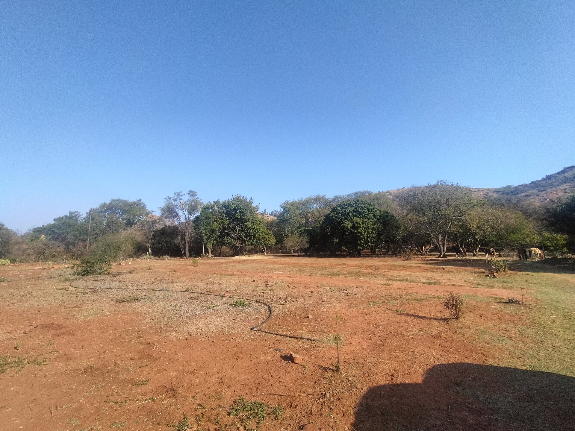 Property 2922963 - Image 10