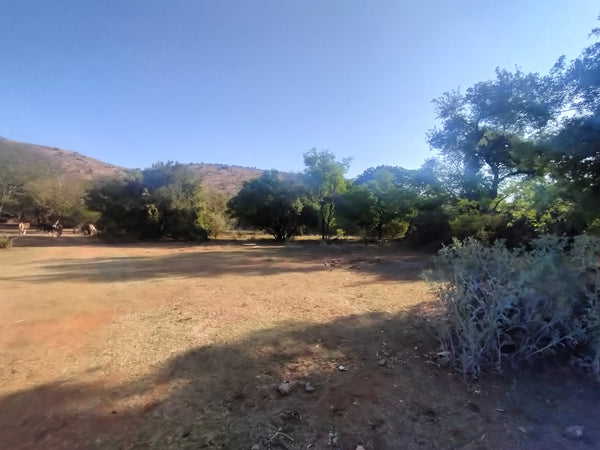 Property 2922963 - Image 13