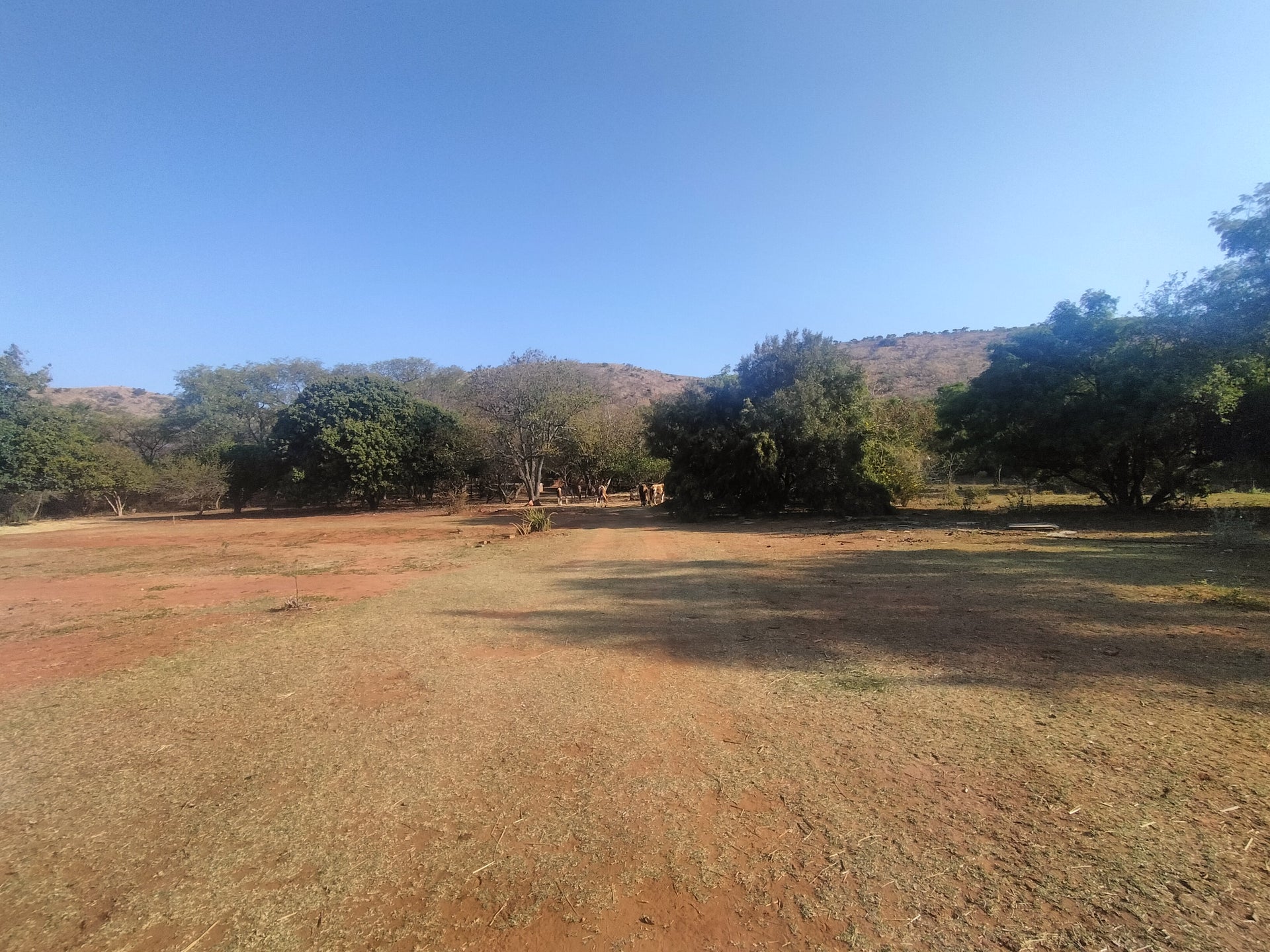 Property 2922963 - Image 14