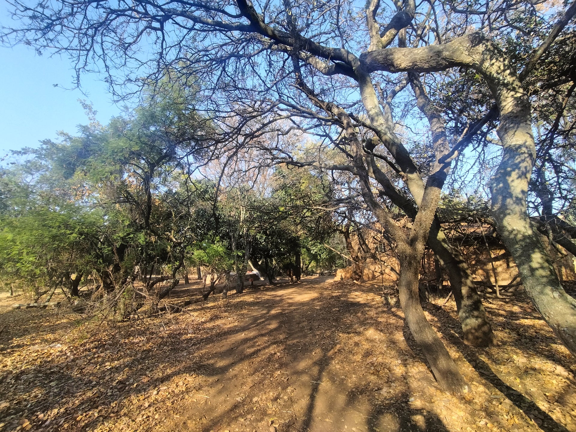 Property 2922963 - Image 16