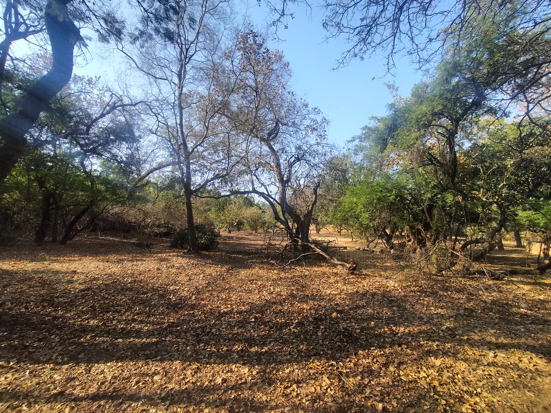 Property 2922963 - Image 3