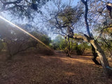 Property 2922963 - Image 5