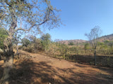 Property 2922963 - Image 6