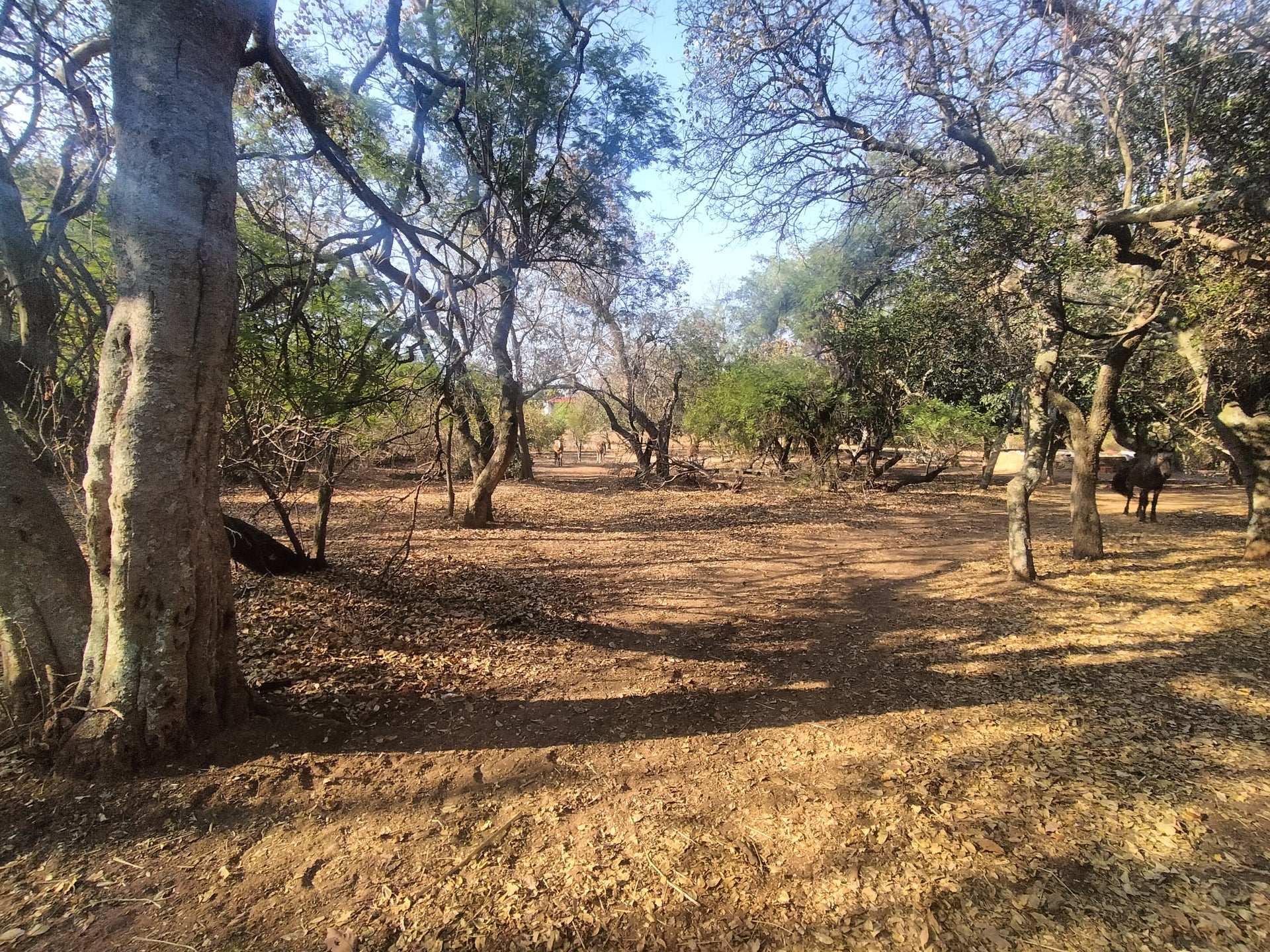 Property 2922963 - Image 7