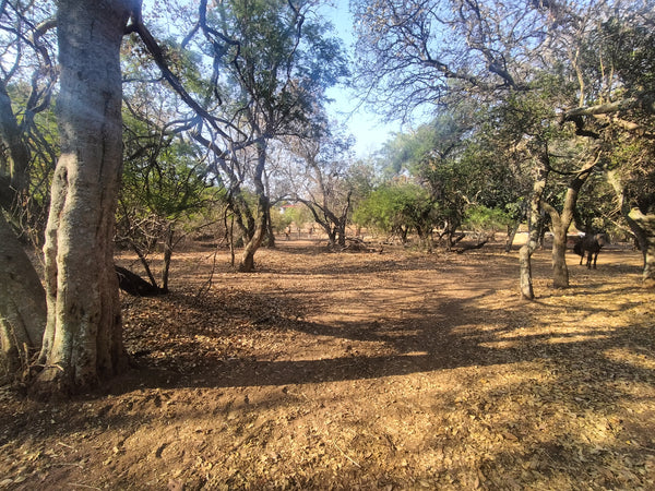 Property 2922963 - Image 7