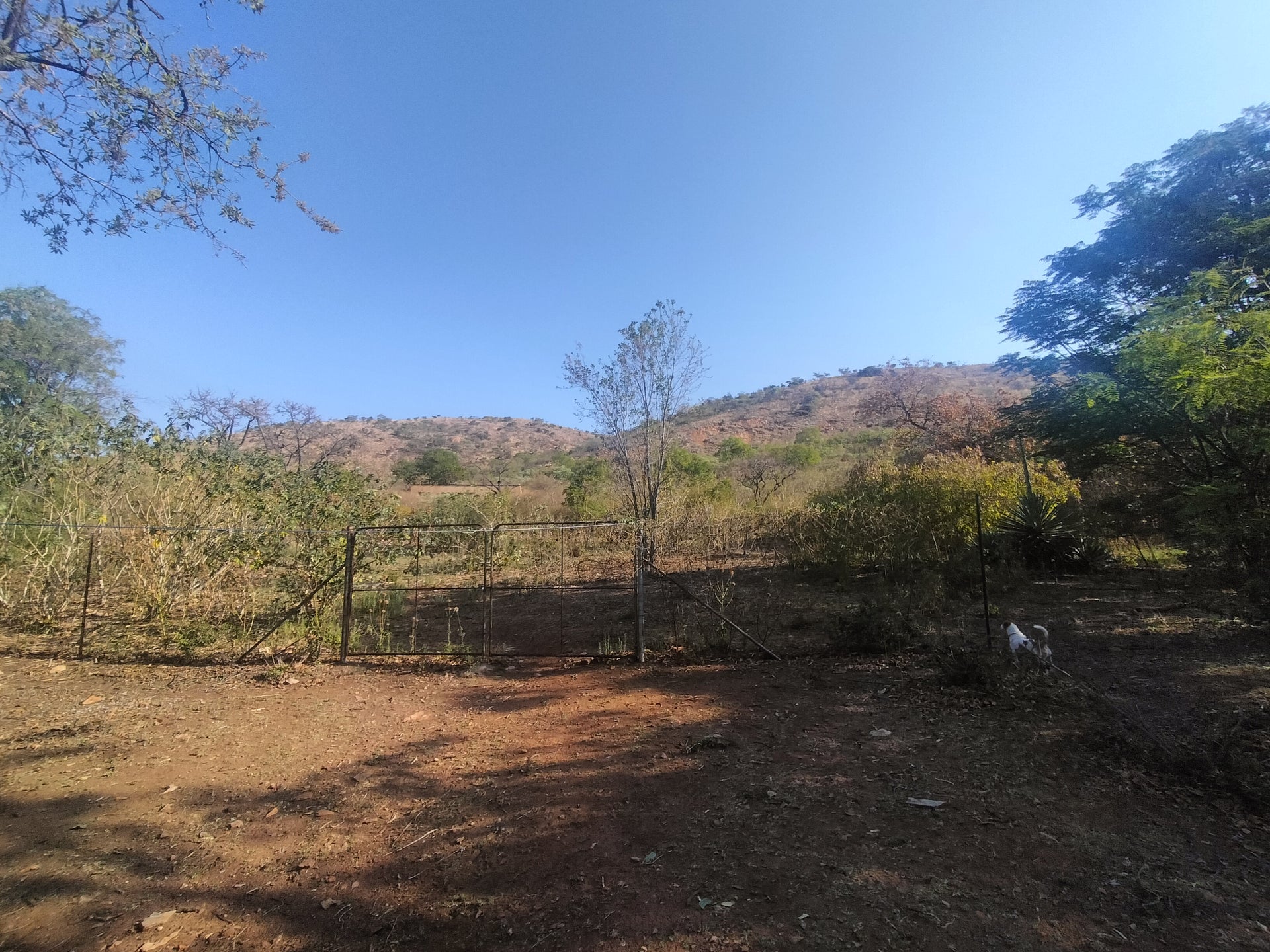 Property 2922963 - Image 8