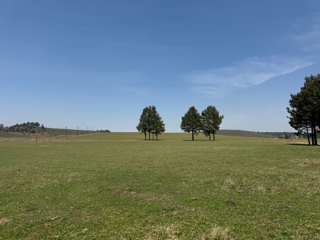 Property 2943372 - Image 12
