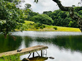 Property 2943386 - Image 1