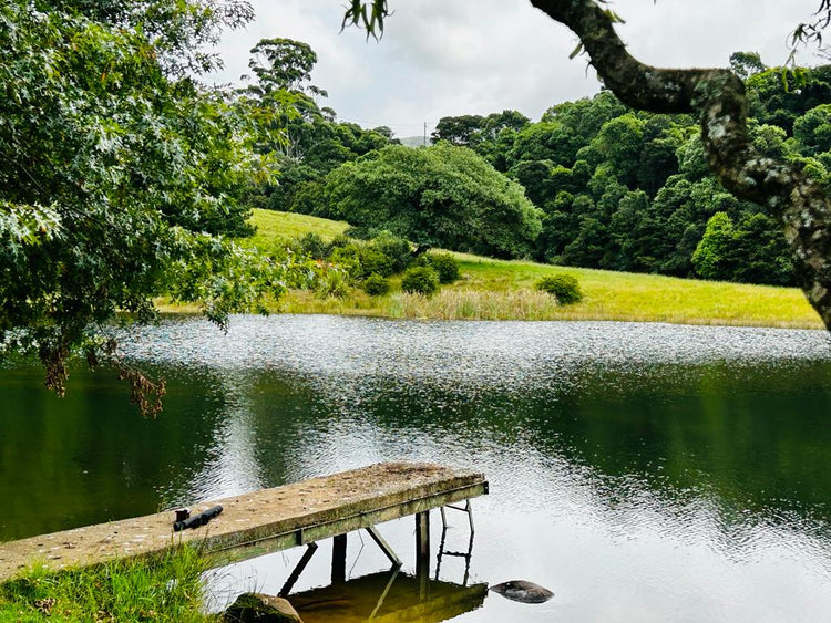 Property 2943386 - Image 1