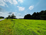 Property 2943386 - Image 20