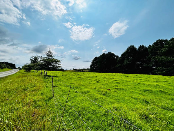 Property 2943386 - Image 20