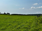 Property 2943386 - Image 21