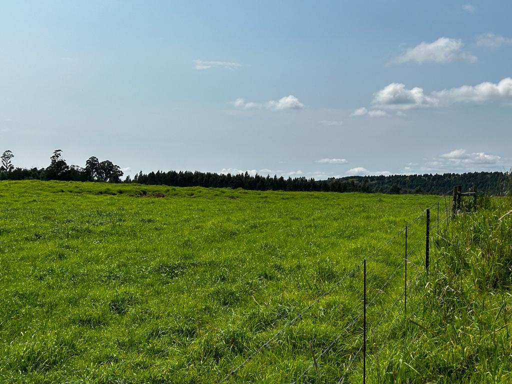 Property 2943386 - Image 21