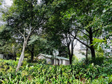 Property 2943386 - Image 8