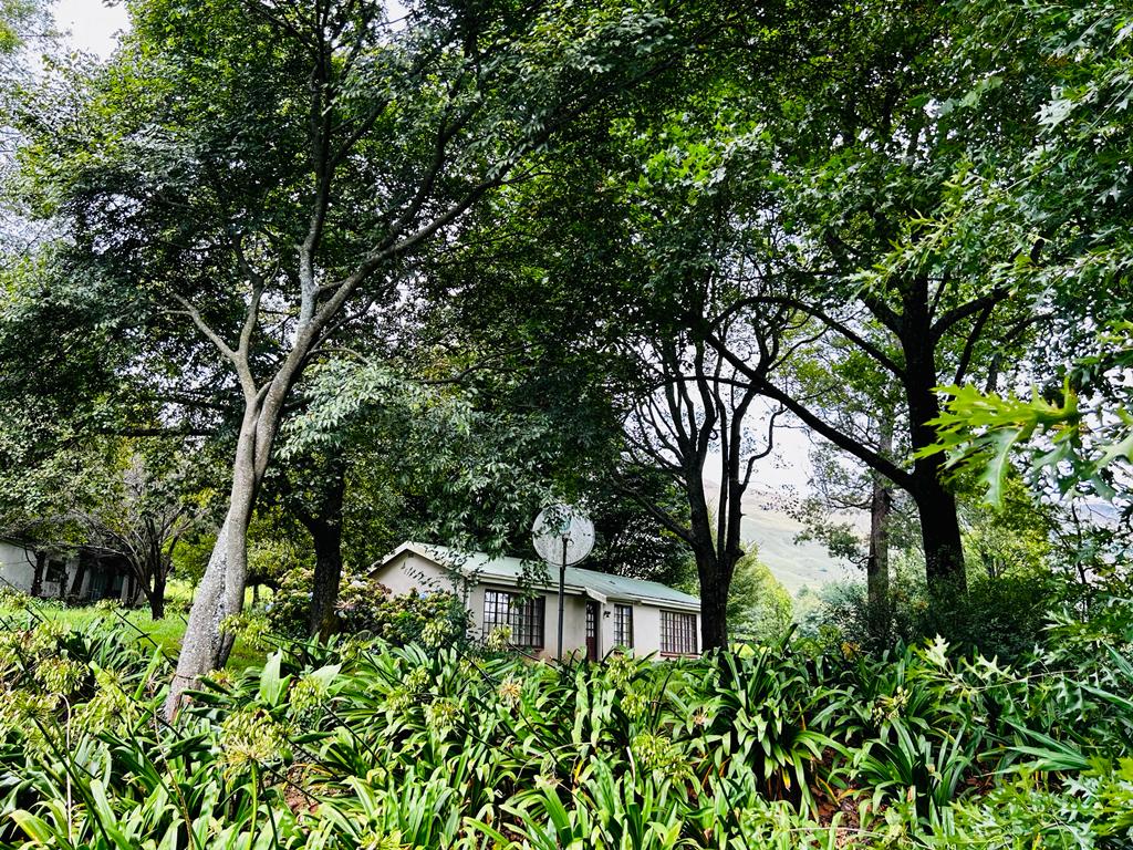 Property 2943386 - Image 8