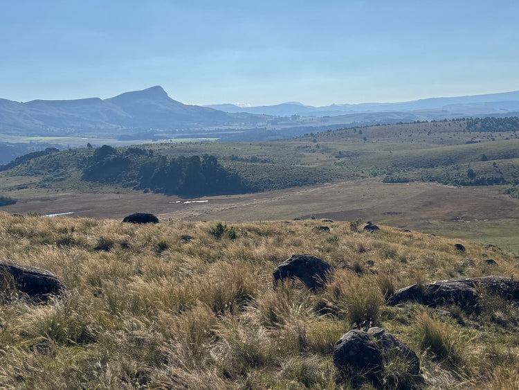 Property 2943393 - Image 1