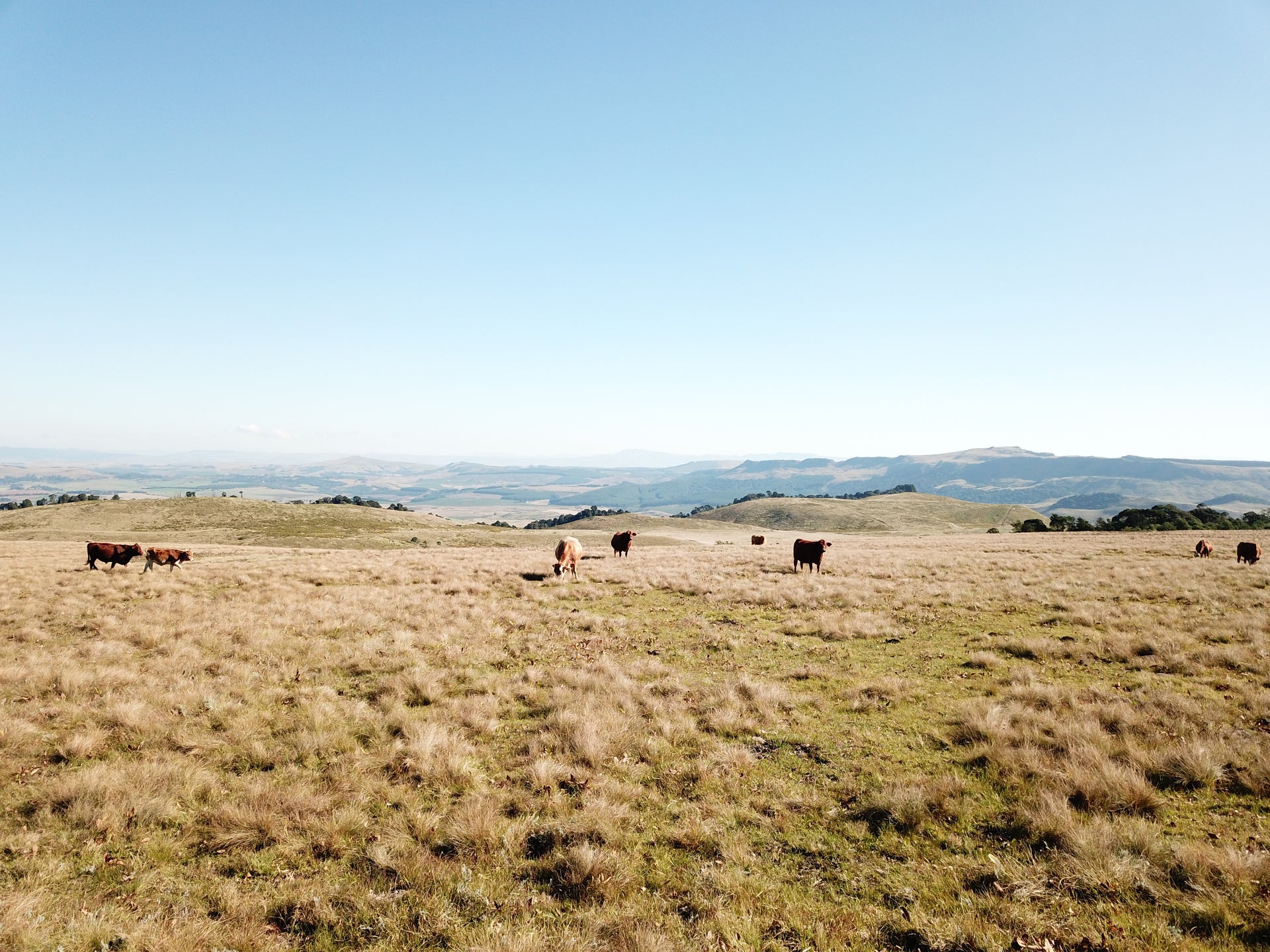 Property 2943393 - Image 10