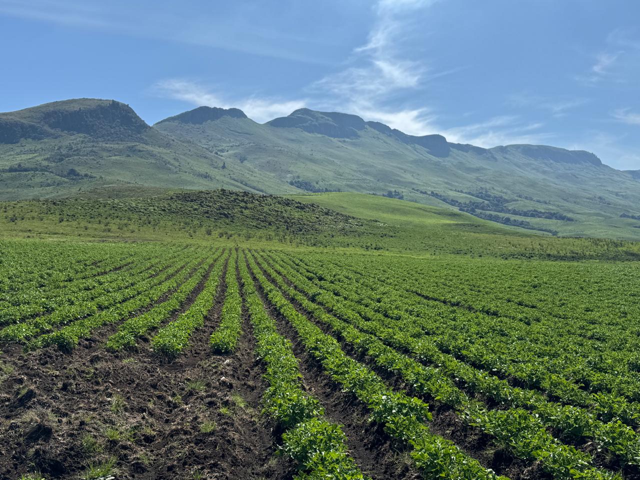 Property 2943393 - Image 2