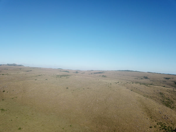 Property 2943393 - Image 7