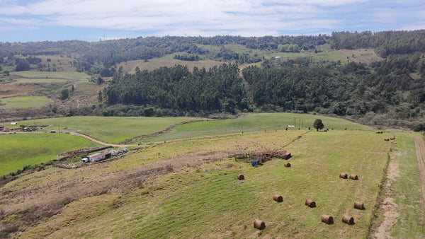 Property 2946875 - Image 35