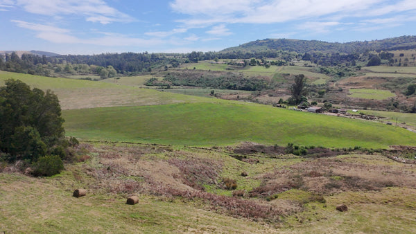 Property 2946875 - Image 37