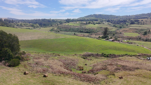 Property 2946875 - Image 38