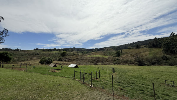 Property 2946875 - Image 40