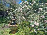 Property 2949781 - Image 48