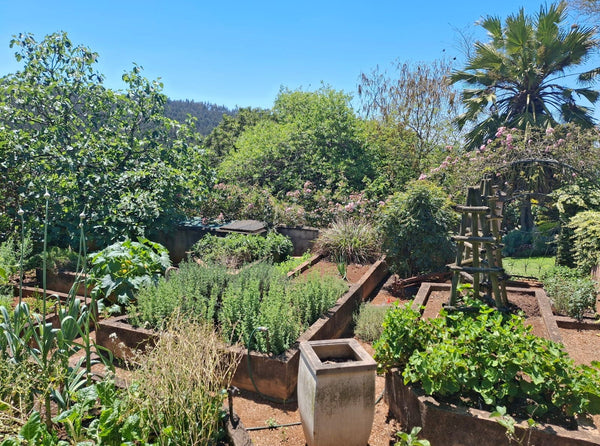 Property 2949781 - Image 50