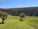 Property 2949781 - Image 61
