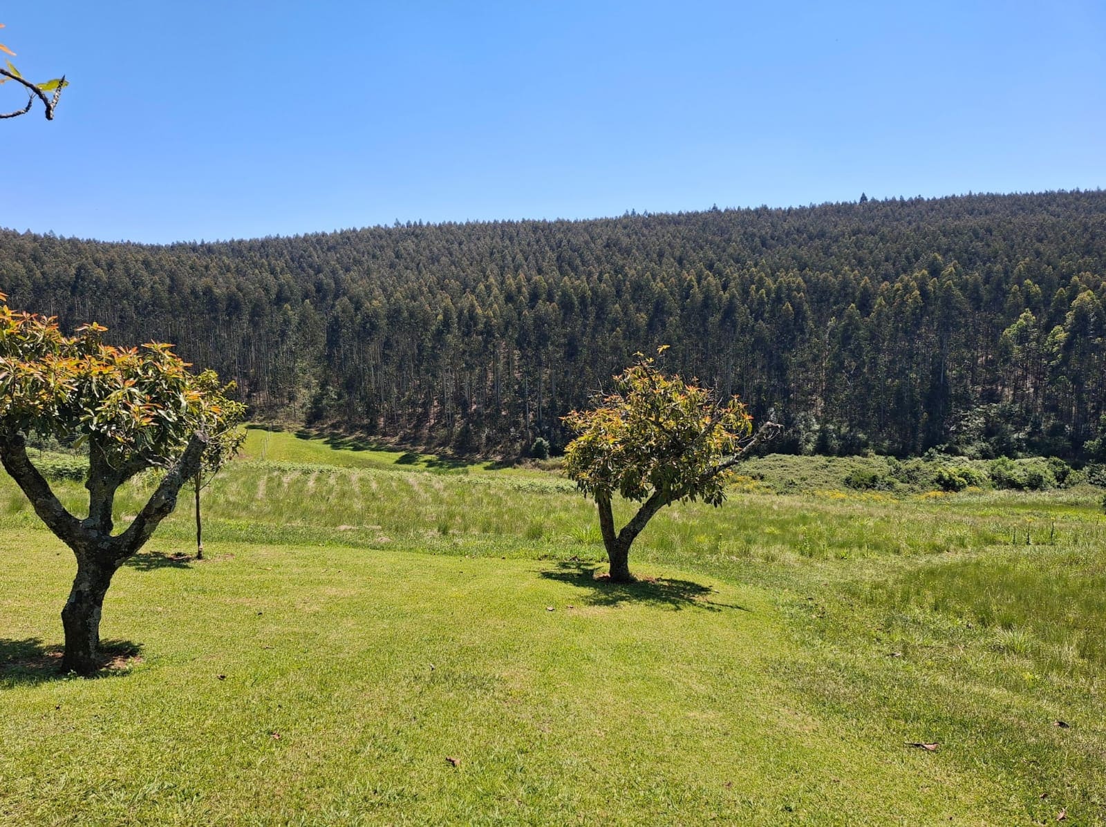 Property 2949781 - Image 61