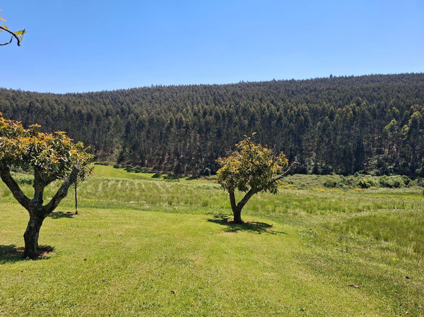 Property 2949781 - Image 61