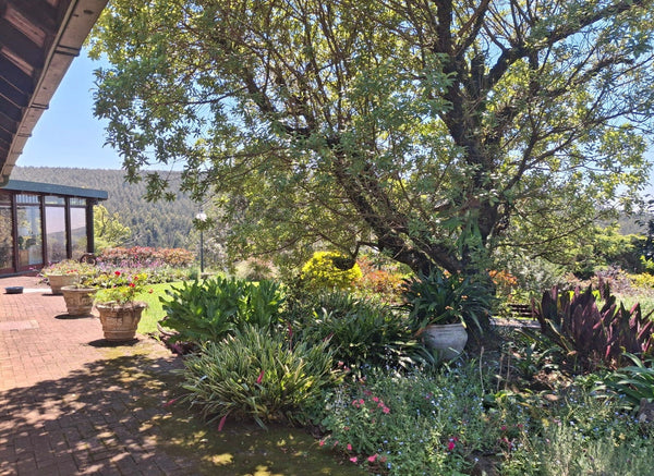 Property 2949781 - Image 66