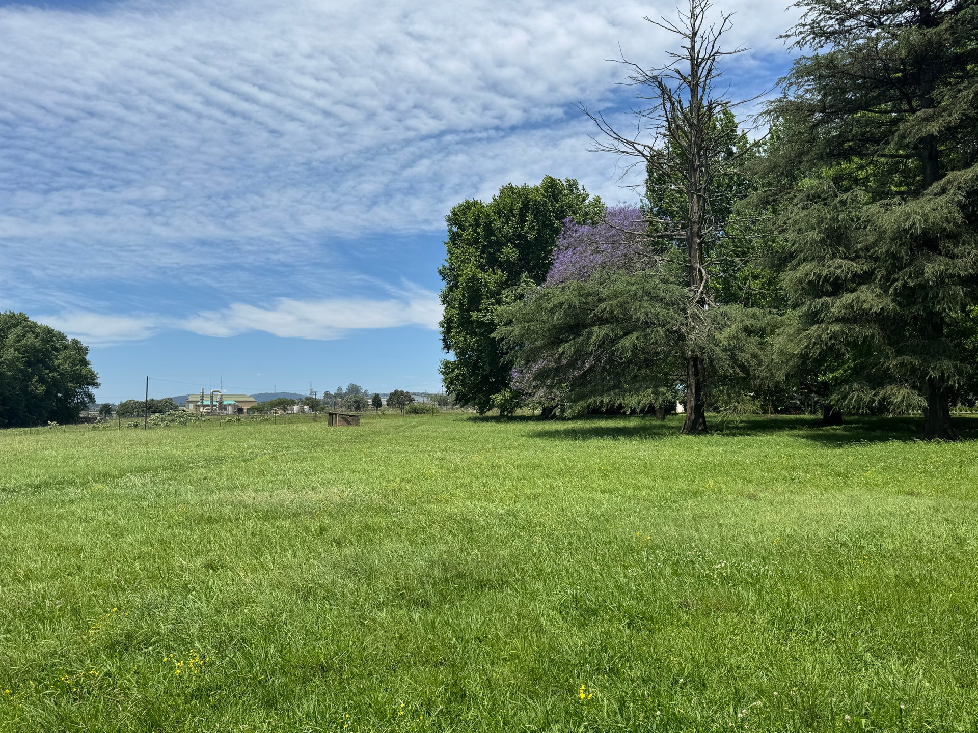 Property 2949982 - Image 4