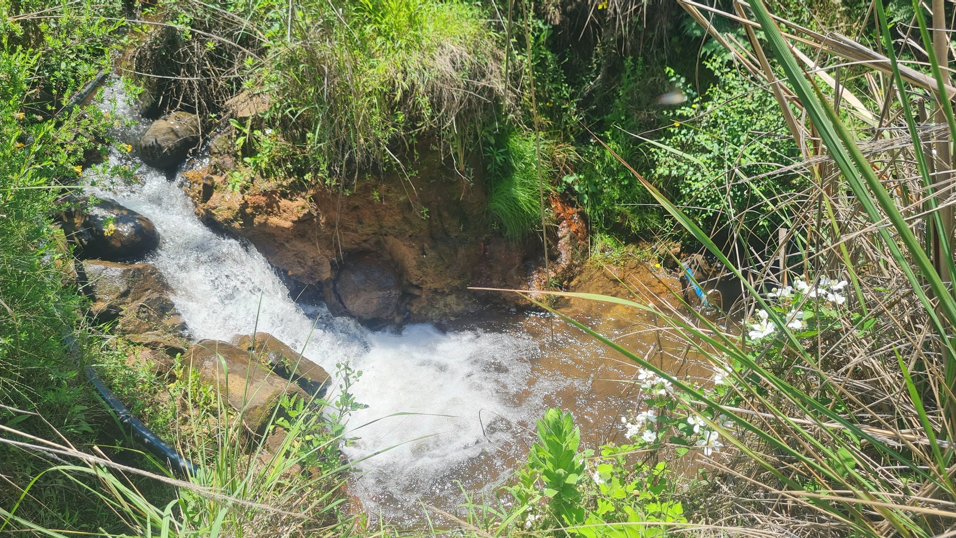 Property 2950022 - Image 14