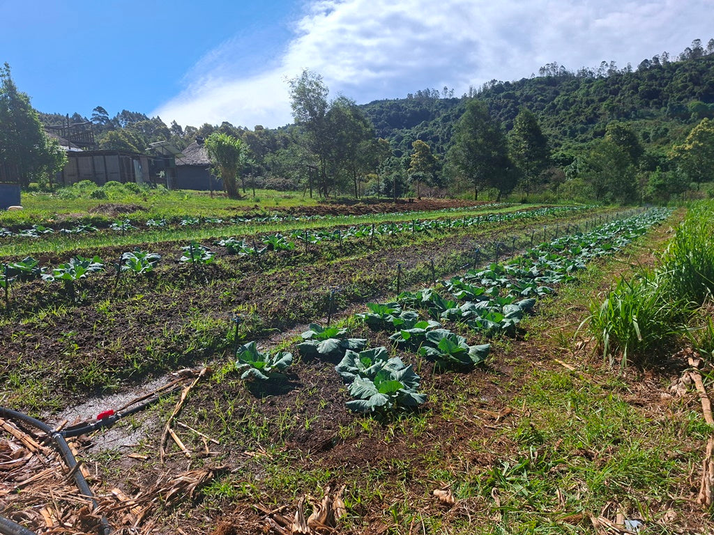 Property 2950022 - Image 15