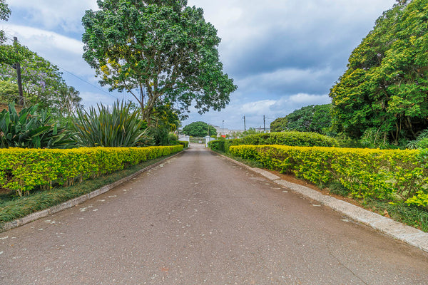 Property 2961588 - Image 75