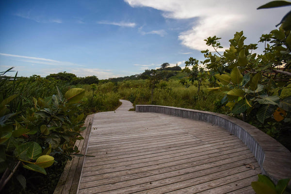 Property 2978831 - Image 14