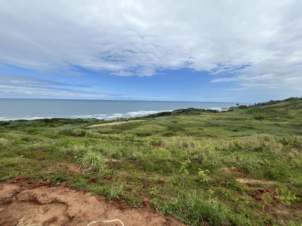 Property 2978831 - Image 5