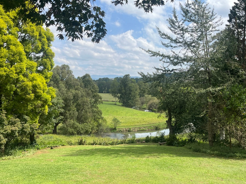 Property 2981931 - Image 2