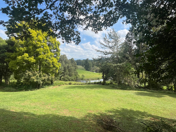 Property 2981931 - Image 8