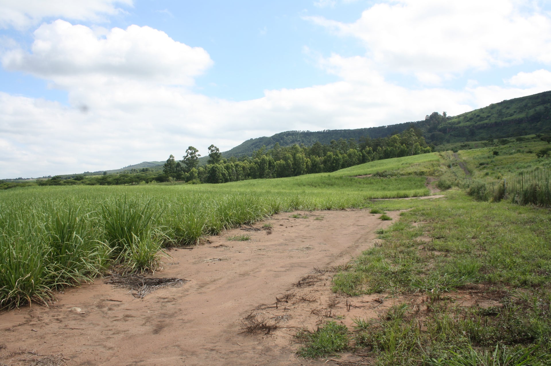 Property 2987875 - Image 3