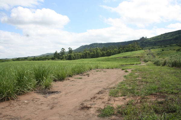 Property 2987875 - Image 3