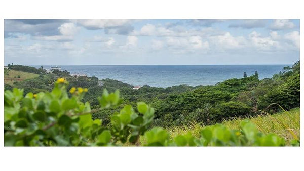 Property 2992695 - Image 17