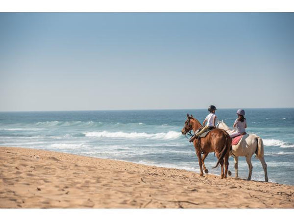 Property 2992695 - Image 20