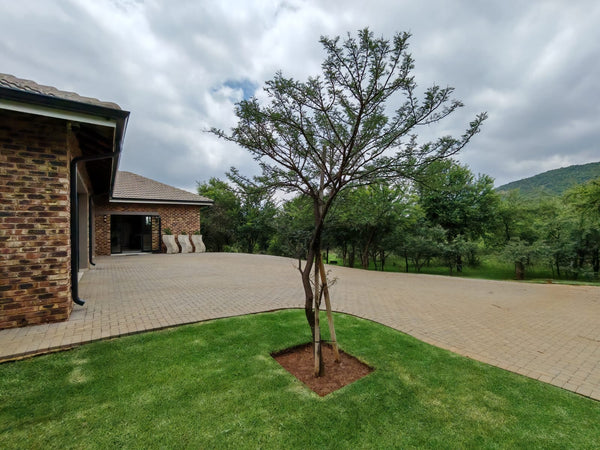 Property 2997413 - Image 5